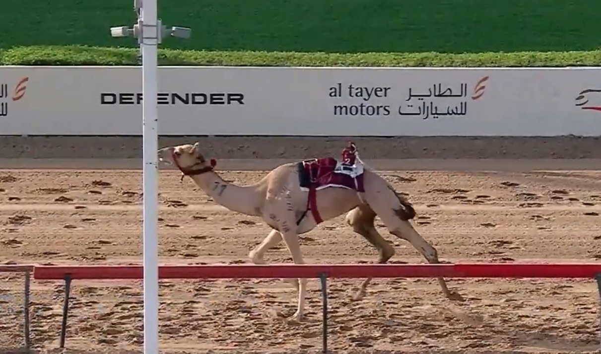 "مهيّض" الأسرع في ميدان المرموم بتوقيت 9:26:6 ضمن تأهيلي الثنايا لأبناء القبائل