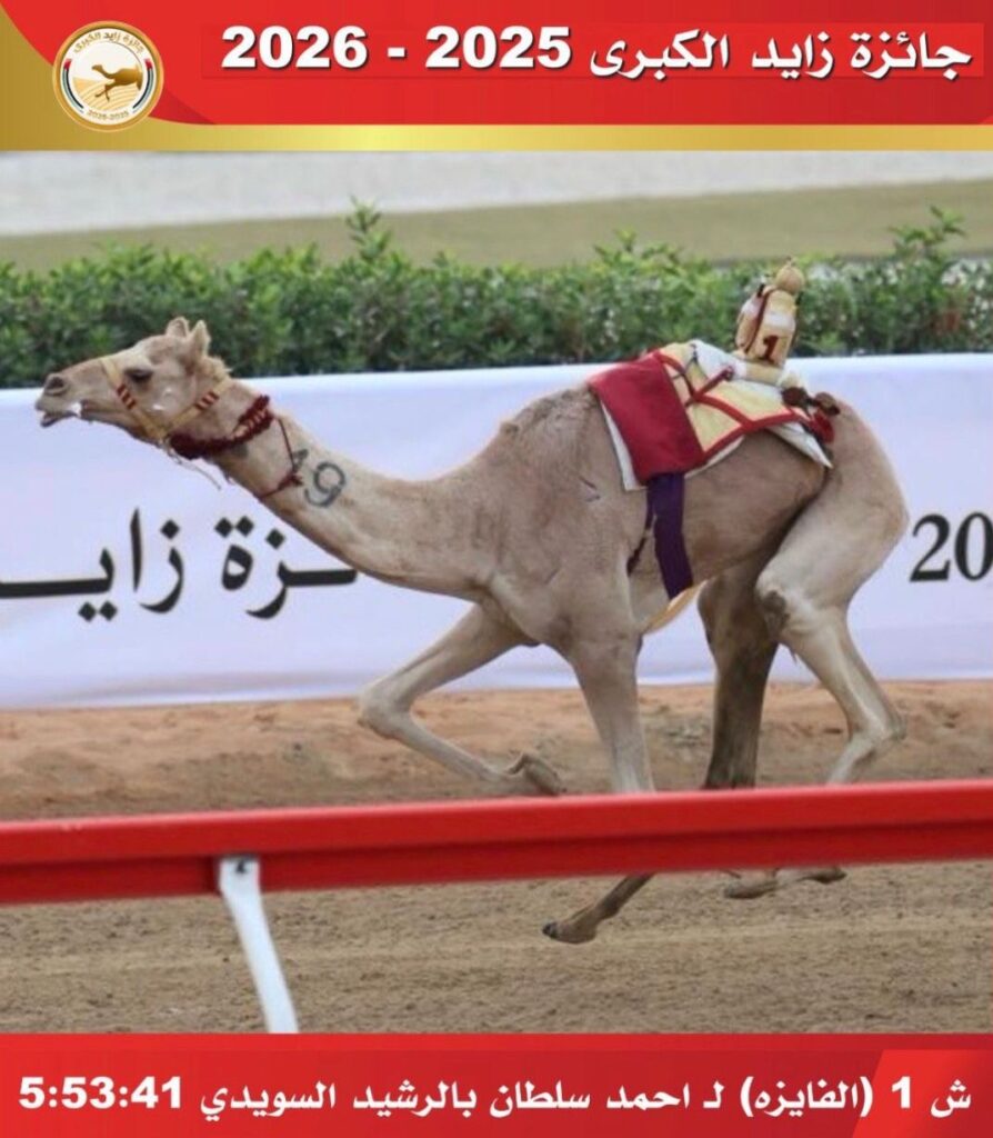 إنطلاق فعاليات سباق جائزة زايد الكبرى 2025 بميدان الوثبة والبداية أشواط “الحقايق” .. ننشر النتائج