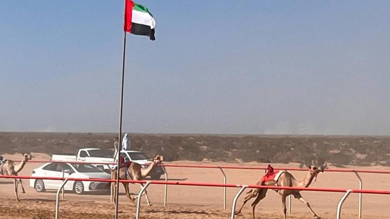 بدعم الإمارات.. الأربعاءانطلاق سباق الهجن التنشيطي على ارضية ميدان العلمين بمصر