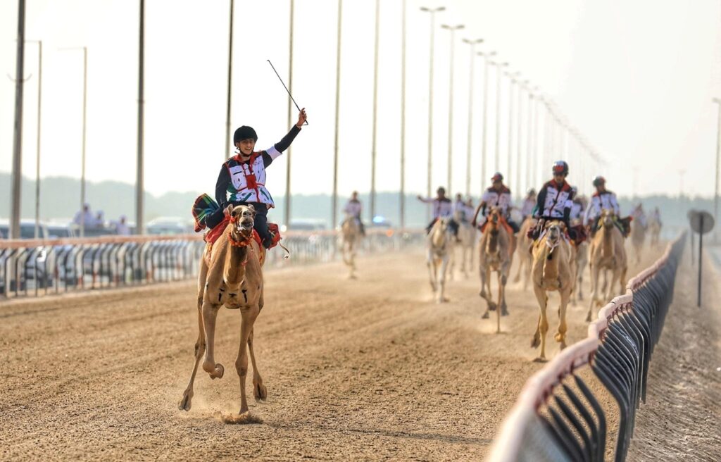 انطلاق تمهيدي ماراثون اليوم الوطني للهجن
