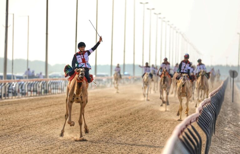 انطلاق تمهيدي ماراثون اليوم الوطني للهجن