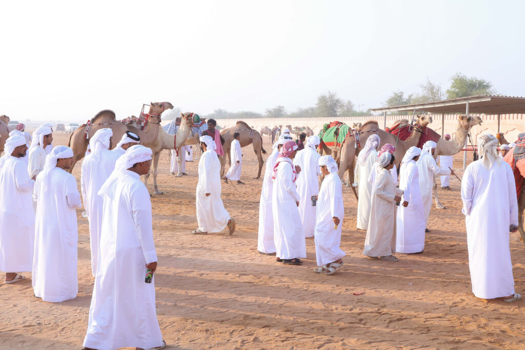 ملاك الإبل يشيدون بانطلاقة مزاينة سويحان ويثمّنون دعم القيادة لتراث الآباء والأجداد