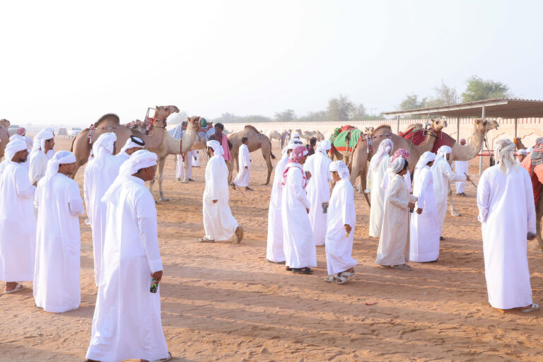 ملاك الإبل يشيدون بانطلاقة مزاينة سويحان ويثمّنون دعم القيادة لتراث الآباء والأجداد