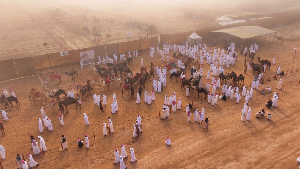 منصة تراثية وسياحية واقتصادية جاذبة.. "مزاينة رزين"المحطة الثانية في “الظفرة 19” تتألق