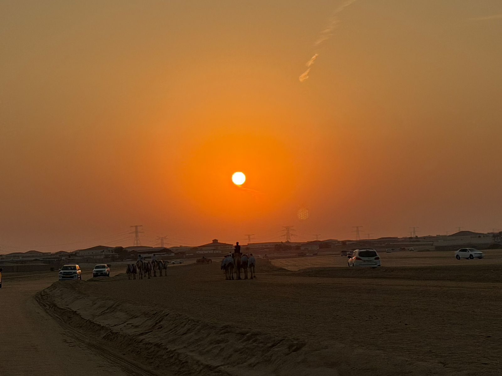 الوثبة تستعد لانطلاق جائزة زايد الكبرى للهجن 2025