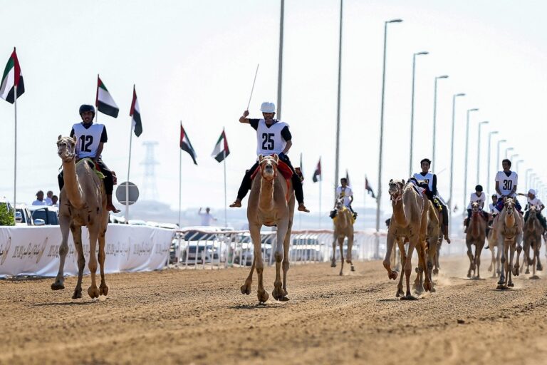 اتحاد الهجن يطلق أول منصة إلكترونية لتسجيل طلبة المدارس في سباق جائزة زايد الكبرى