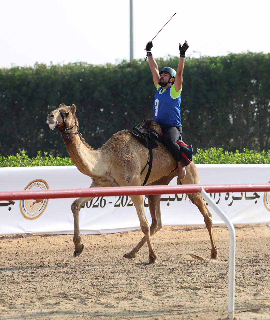 نتائج السباق التراثي لمسافة 2 كيلومتر في مهرجان جائزة زايد الكبرى 2025 لأبناء القبائل