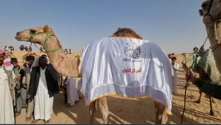 «السر» تحتضن سباق تراثي بسيناء على مدار يومين ومشاركة واسعة من قبائل المنطقة