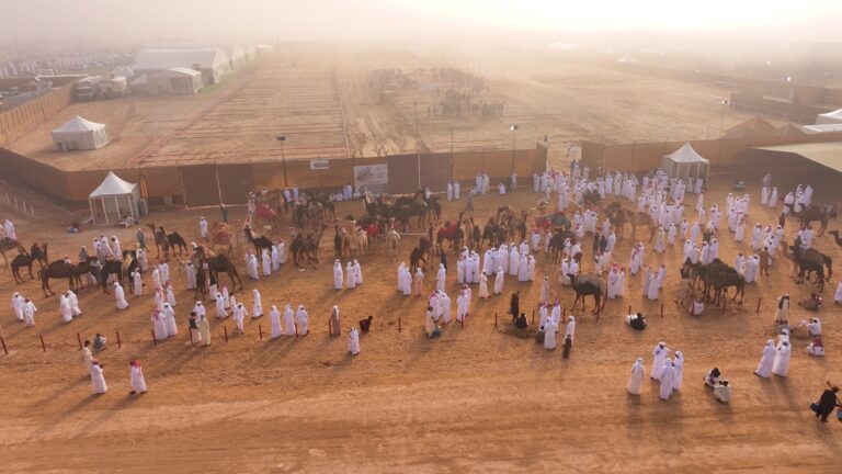 "مزاينة رزين" المحطة الثانية لمهرجان الظفرة تنطلق غداً