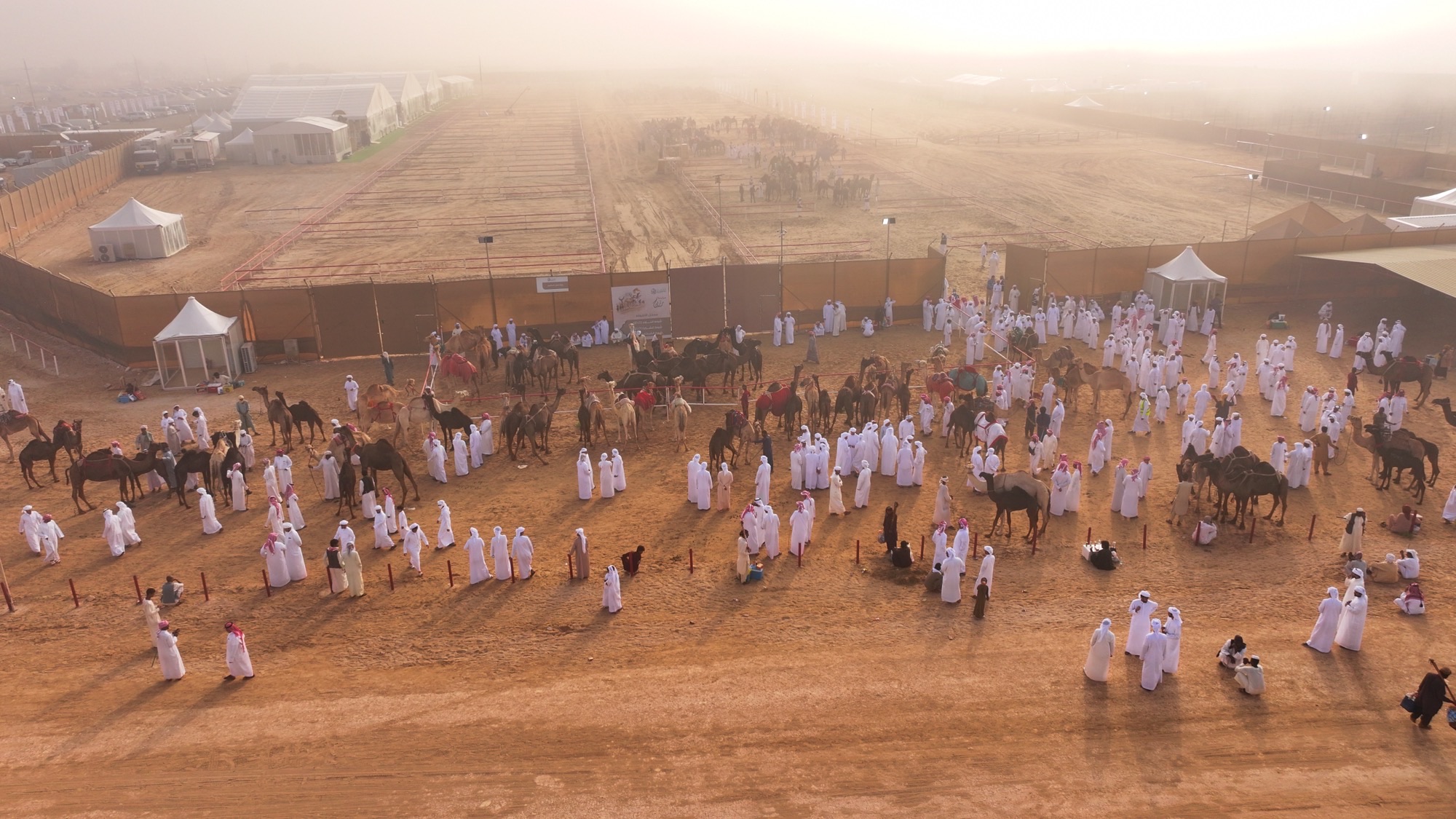 "مزاينة رزين" المحطة الثانية لمهرجان الظفرة تنطلق غداً