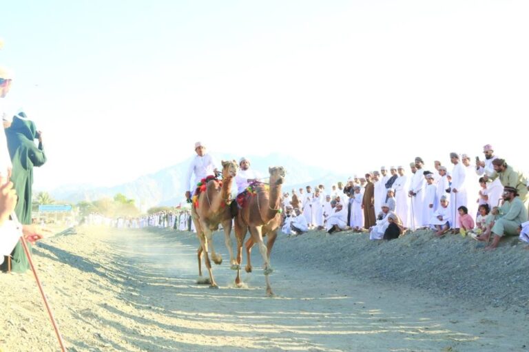 عُمان تحتفي بشتائها النشط… الهجن تتصدر انطلاقة تحدي الشتاء في بدبد