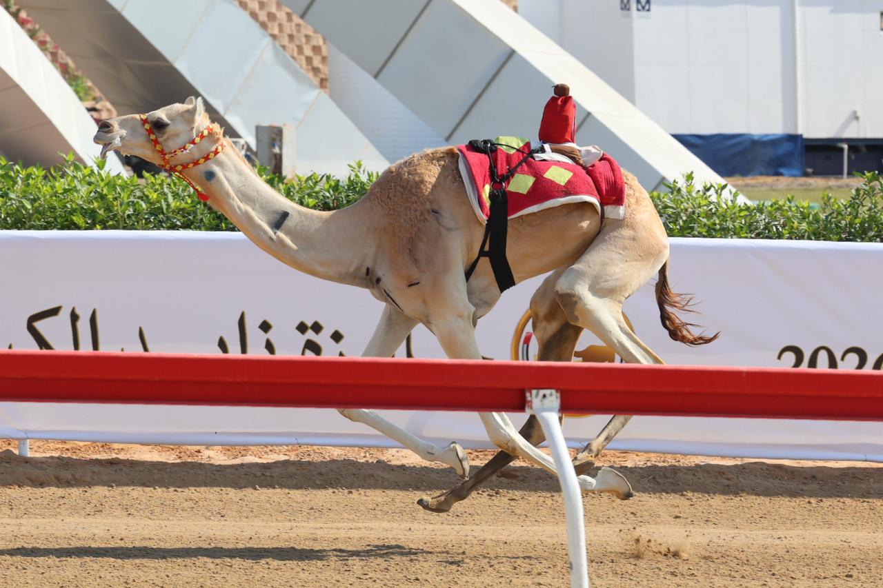 شعار بن غدير يعود ويتألق .. تبيان تخطف كأس الإيذاع الرئيسي في مهرجان جائزة زايد الكبرى