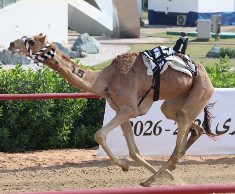 ثلاثية تاريخية لمرخان الكتبي تشعل أمسية الثنايا في سادس أيام جائزة زايد الكبري