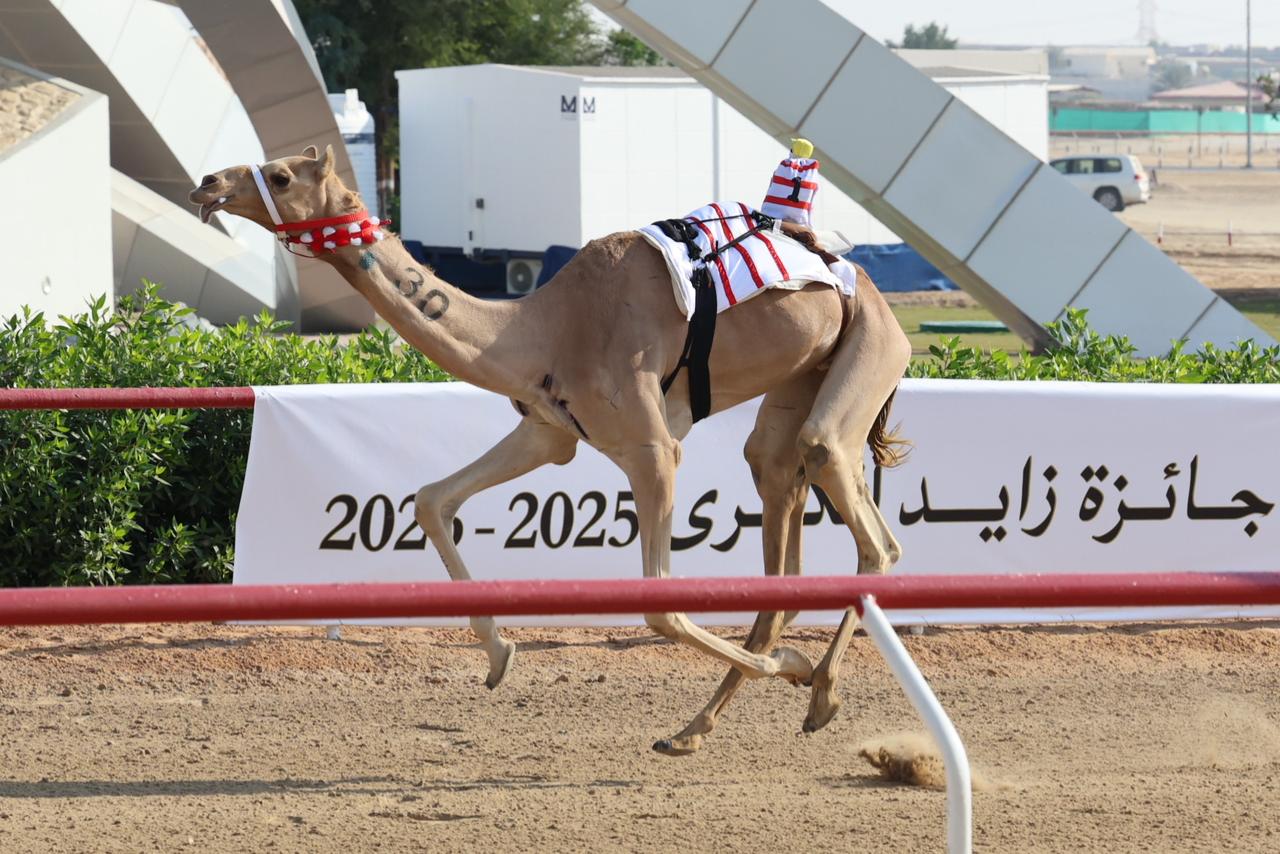 رموز اللقايا بكار تبتسم للشليلة وغياهيب ودانة في منافسات المساء بمهرجان جائزة زايد الكبرى 2025 بالوثبة .. ننشر النتائج كاملة