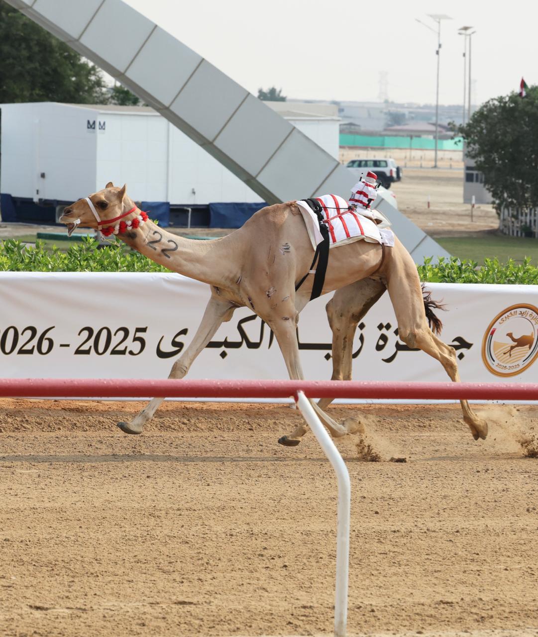 الهده والظبي ورحاب يتألقون في ميدان الوثبة… منافسات قوية في الحول والزمول بمهرجان جائزة زايد الكبرى 2025