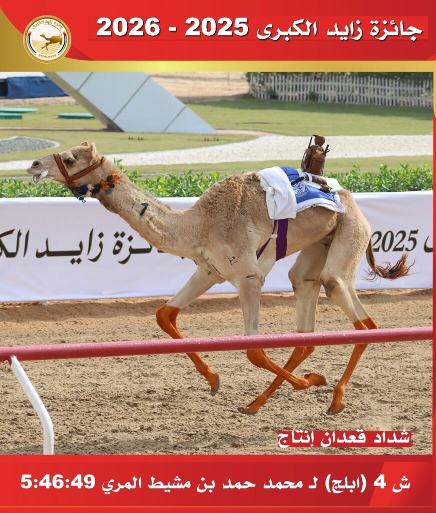 بحضور الشيخ سلطان بن حمدان… انطلاقة قوية لأشواط الفترة المسائية في ميدان الوثبة وتتويج أربعة رموز في سنّ الحقايق