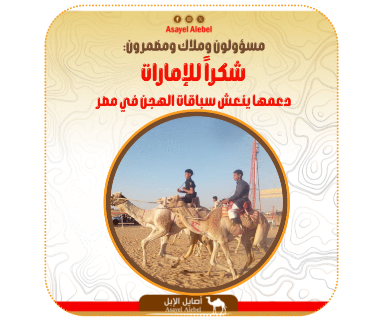 مسؤولون وملاك ومضمرون: شكراً للإمارات… دعمها ينعش سباقات الهجن في مصر ويعيد الروح للميادين