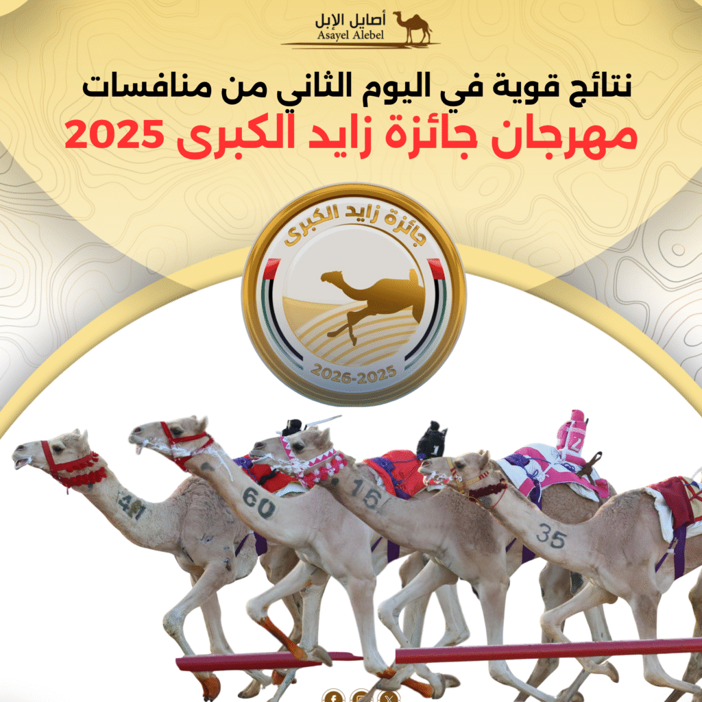 نتائج قوية في اليوم الثاني من منافسات مهرجان جائزة زايد الكبرى 2025 .. ننشر النتائج