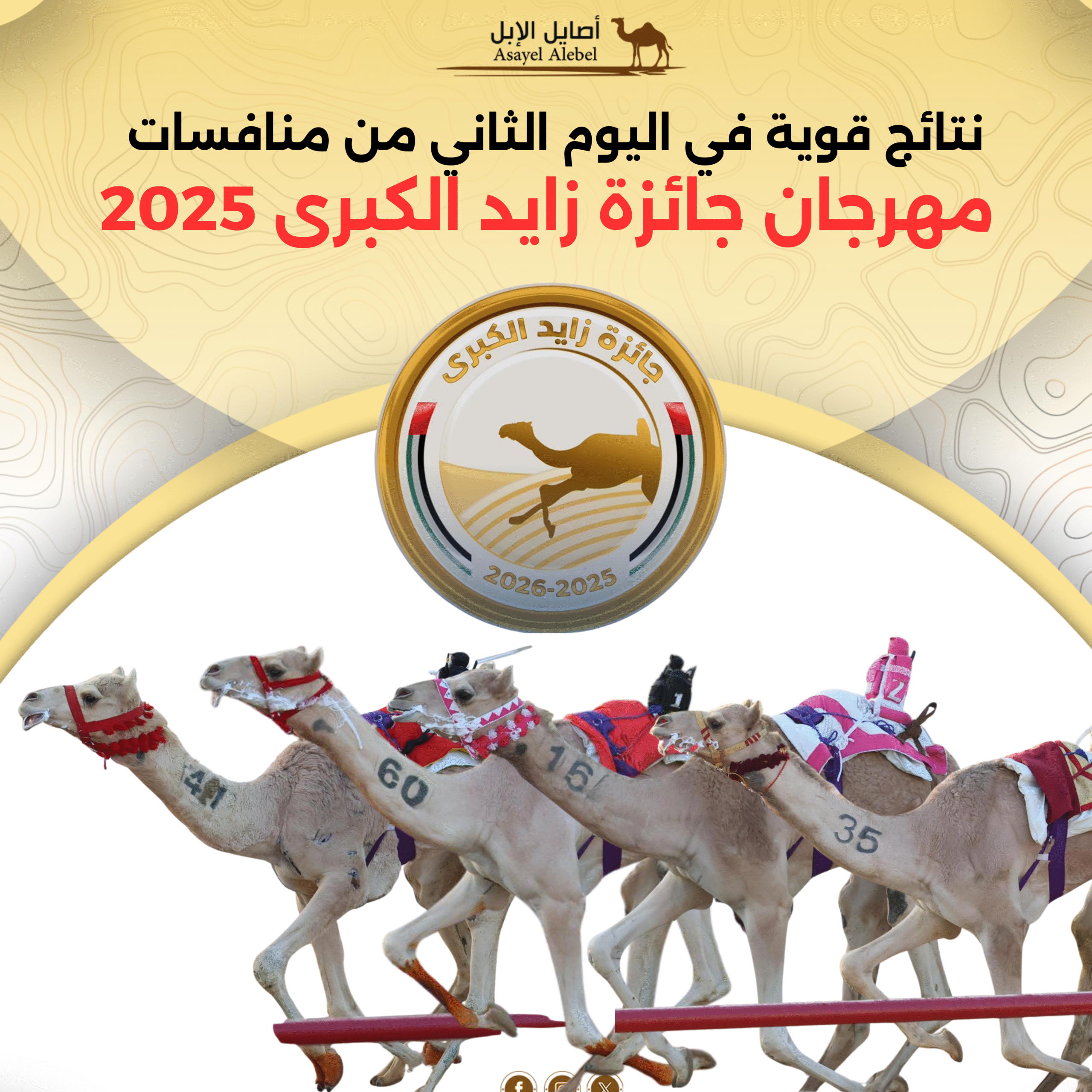 نتائج قوية في اليوم الثاني من منافسات مهرجان جائزة زايد الكبرى 2025 .. ننشر النتائج