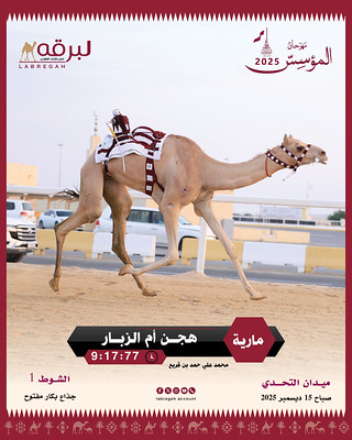 نتائج سباق مهرجان المؤسس 2025 بقطر - ايذاع أشواط مفتوحه