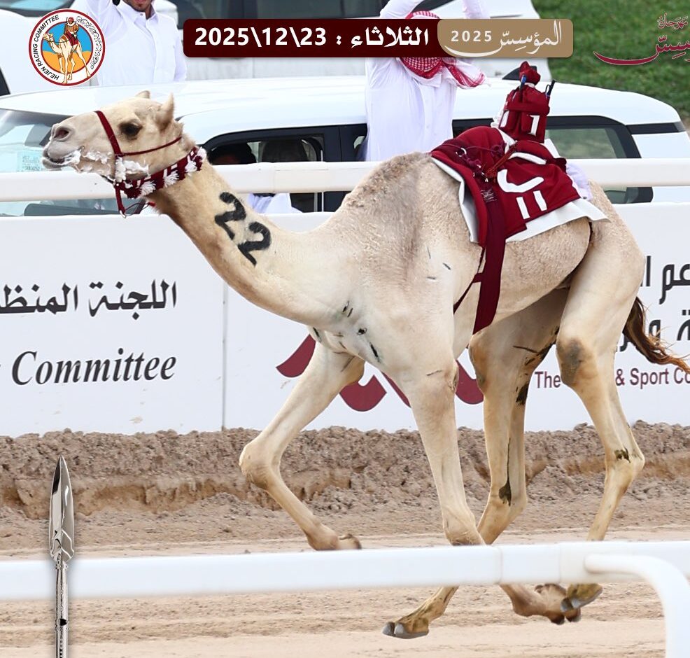 «السنيورة» و«الغوطة» و«العندل» يقتنصن الشلفة… و«عثمر» و«سلاب» و«التيار» يخطفون الخنجر في أشواط الإيذاع بسباق المؤسس