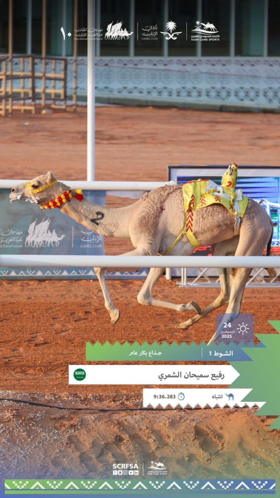 "انتباه" تسجل التوقيت الأفضل في أشواط الإيذاع بسباق جائزة الملك عبدالعزيز