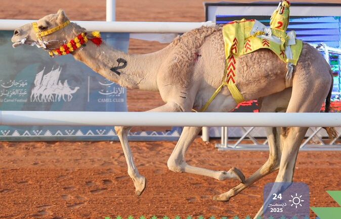 "انتباه" تسجل التوقيت الأفضل في أشواط الإيذاع بسباق جائزة الملك عبدالعزيز