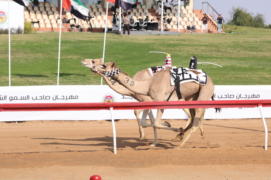 سباق مهرجان صاحب السمو الشيخ محمد بن زايد 2025:«معراب» ترفع الكأس لِبن حماد و«موفّق» بن مرخان يقبض على البندقية