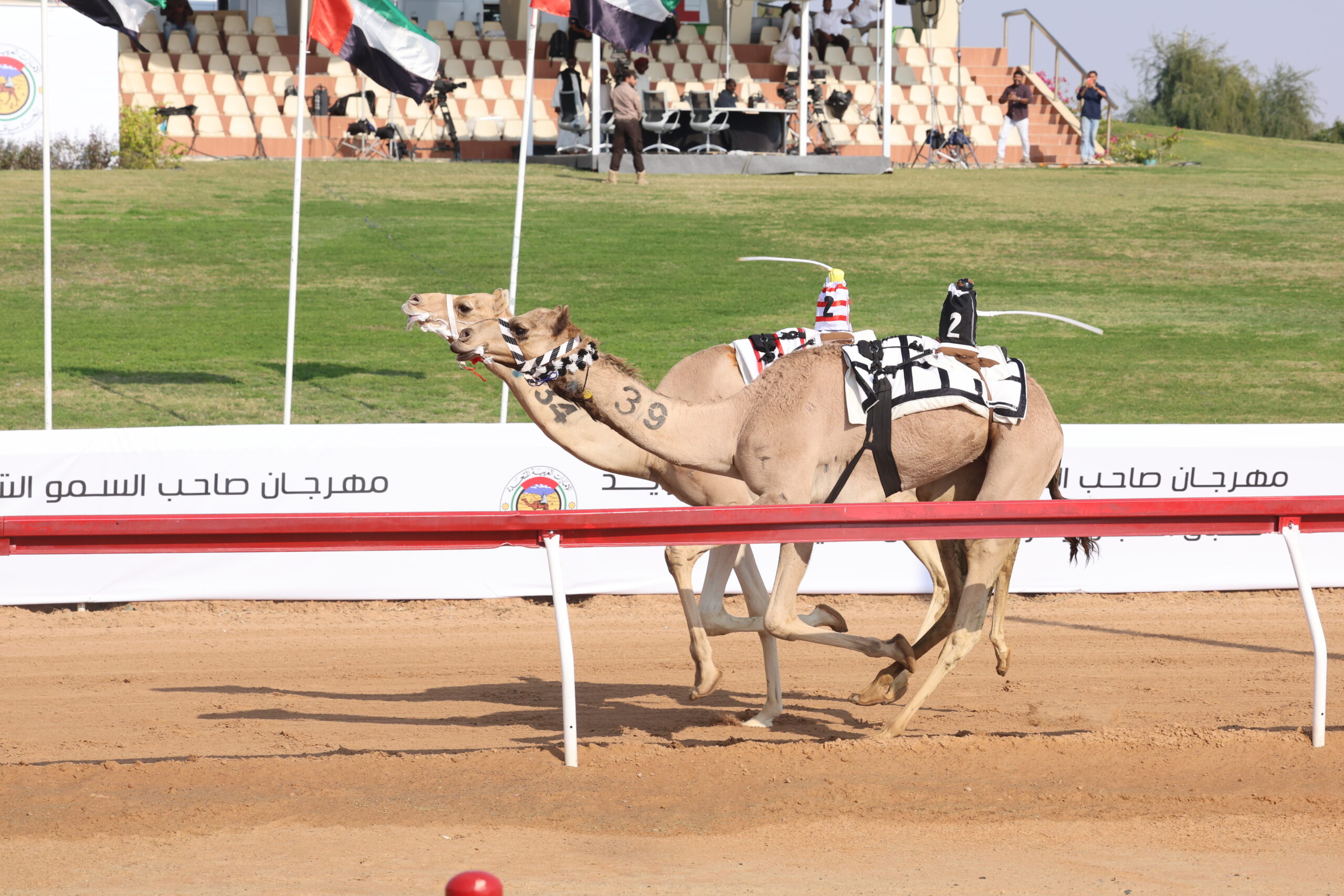 سباق مهرجان صاحب السمو الشيخ محمد بن زايد 2025:«معراب» ترفع الكأس لِبن حماد و«موفّق» بن مرخان يقبض على البندقية