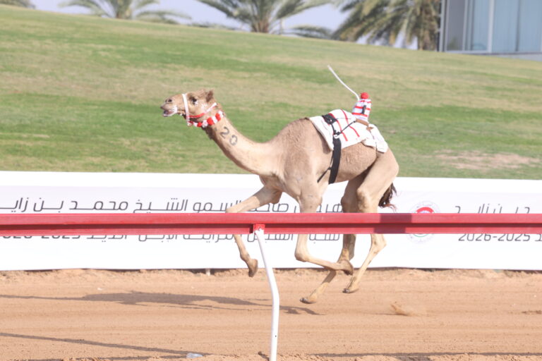 الكأس لـ بن حماد  والبندقية لـ بن سالمين في  منافسات أشواط الإيذاع