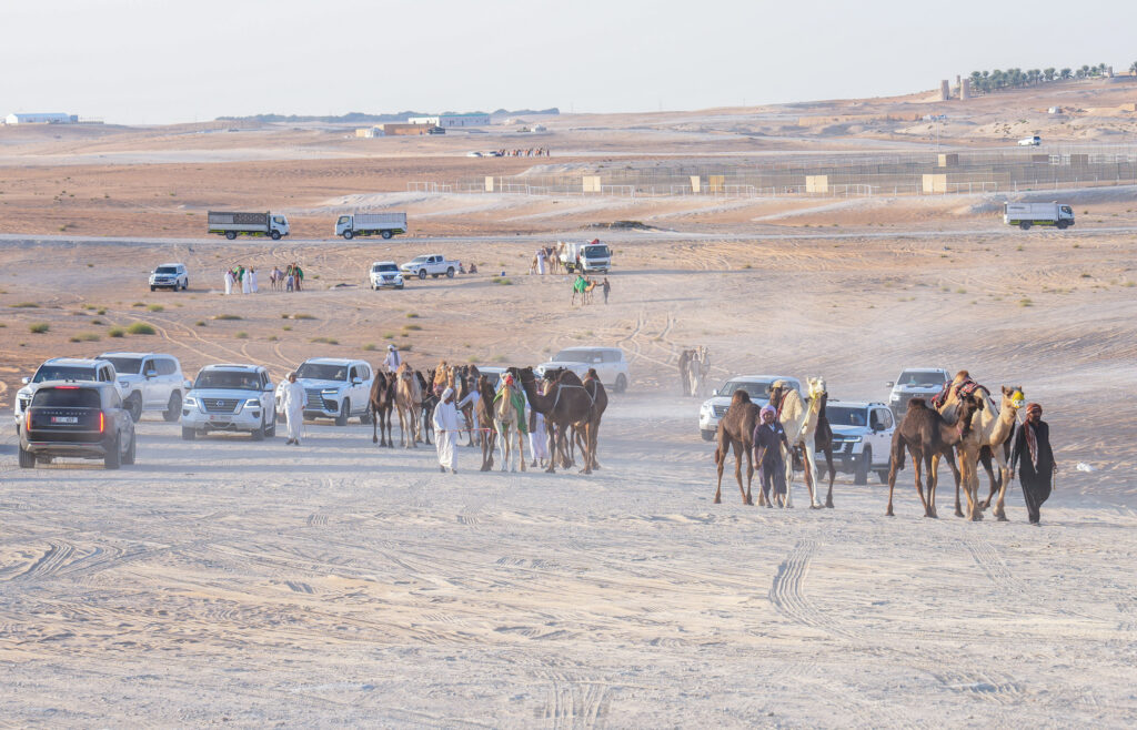 انطلاق «مزاينة مدينة زايد» المحطة الثالثة في مهرجان الظفرة