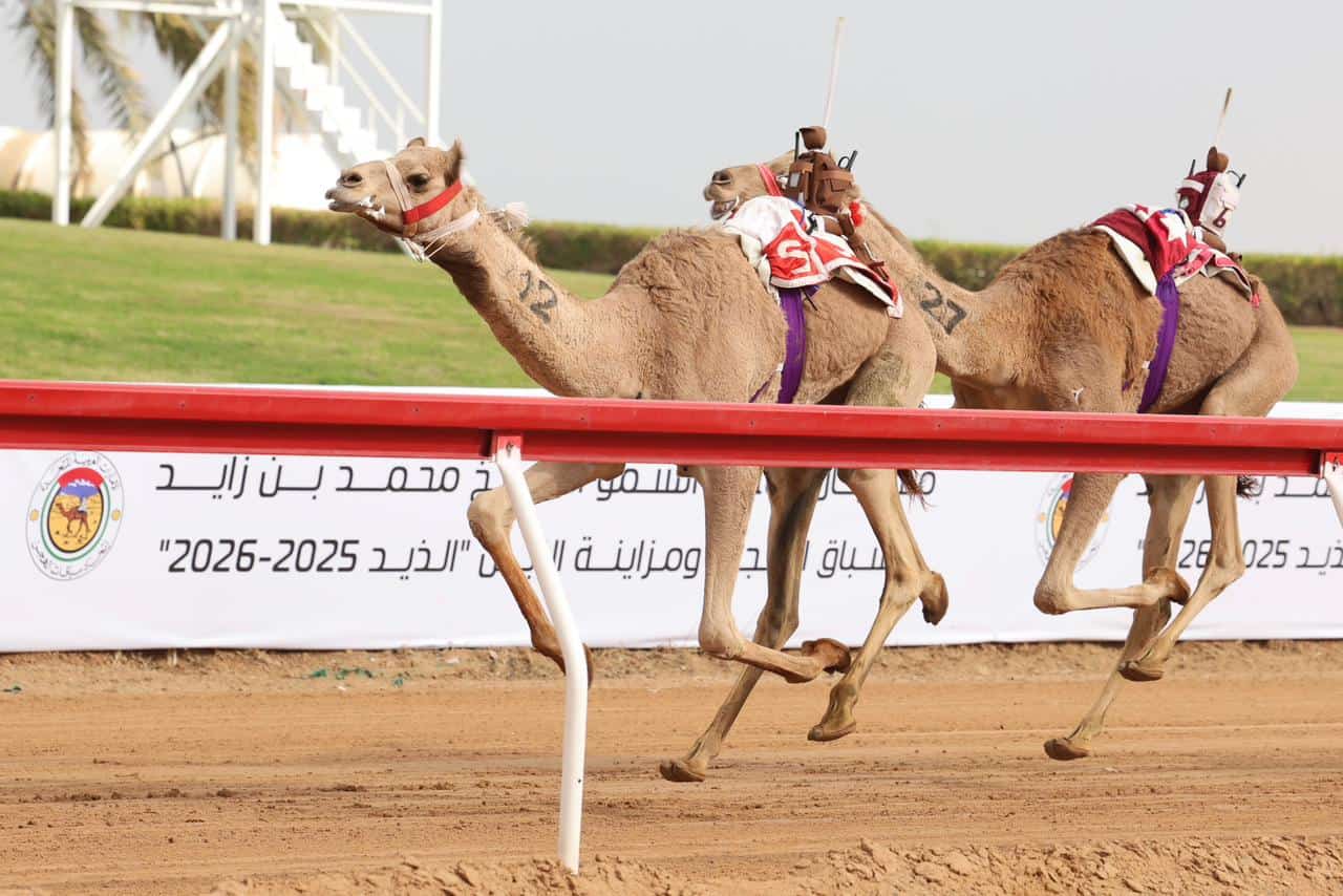 رموز سباق مهرجان صاحب السمو الشيخ محمد بن زايد 2025: الكأس لـ"غلا" و البندقية لـ"الغزال" في منافسات الحقايق