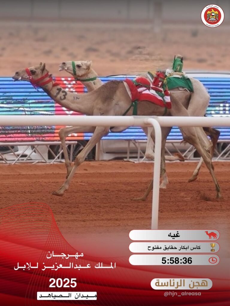 هجن الرئاسة تخطف كأس البكار المفتوح بـ«غيه» في جائزة الملك عبدالعزيز للإبل 2025