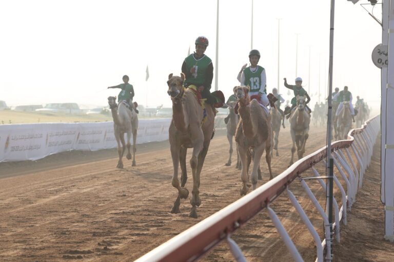 مهرجان صاحب السمو الشيخ محمد بن زايد 2025: أشواط السباق التراثي مشتعلة و«حزام انديله» يتصدر الأزمنة
