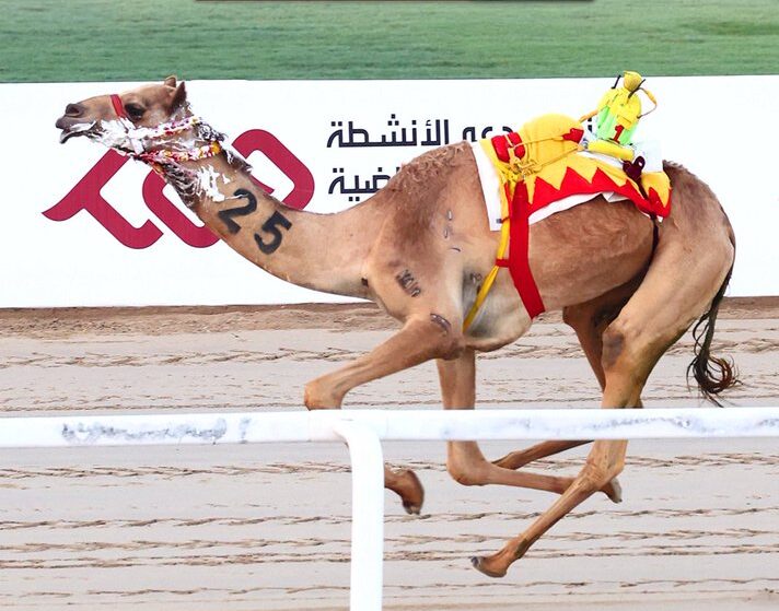 "بيان" لـ البريدي تحقق أفضل توقيت فى أشواط الثنايا الصباحية بسباق مهرجان المؤسس 2025
