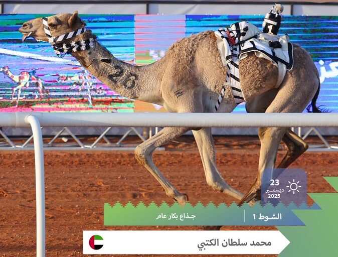  نتائج أشواط الإيذاع  بسباق جائزة الملك عبدالعزيز لسباقات الهجن