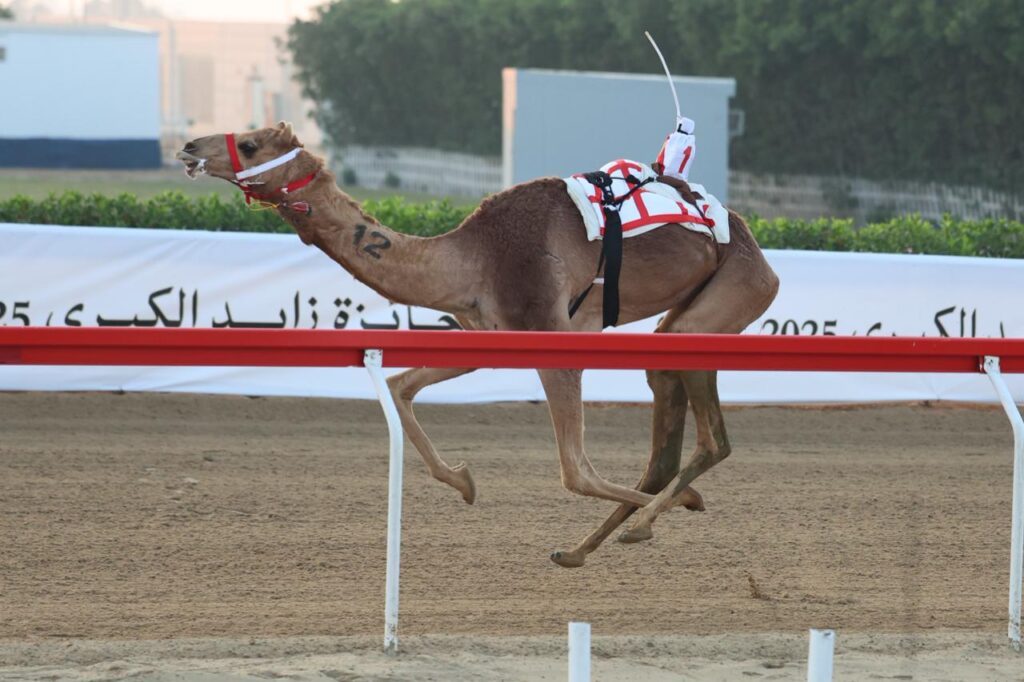 “مضمونه” و”ميّاس” و”نشبَه” و”عنيد” يخطَفون رموز صباح الختام في الوثبة