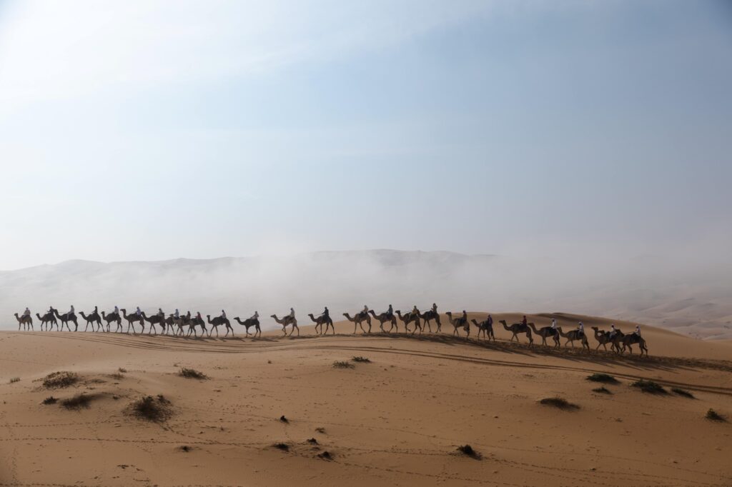 رحلة الهجن تواصل مسيرتها في أطول نسخها التاريخية عبر دروب الحجاج عبد الله حمدان بن دلموك: التعاون المؤسسي ركيزة أساسية في صون تراث الوطن