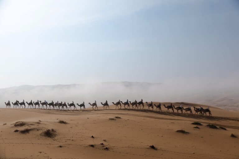 رحلة الهجن تواصل مسيرتها في أطول نسخها التاريخية عبر دروب الحجاج عبد الله حمدان بن دلموك: التعاون المؤسسي ركيزة أساسية في صون تراث الوطن