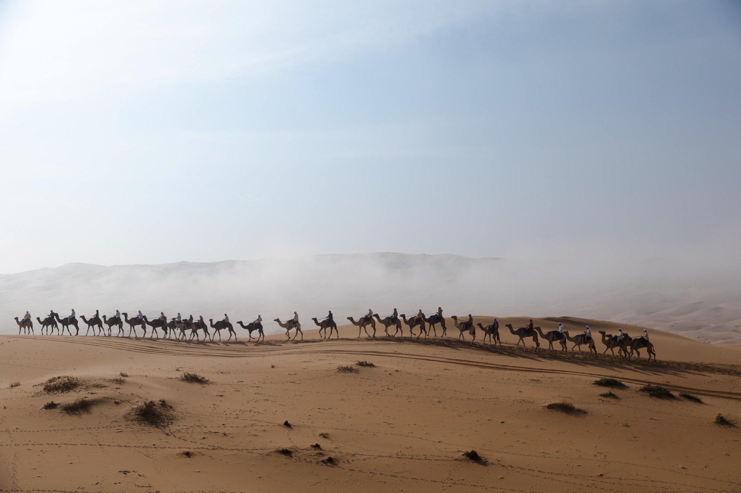 رحلة الهجن تواصل مسيرتها في أطول نسخها التاريخية عبر دروب الحجاج عبد الله حمدان بن دلموك: التعاون المؤسسي ركيزة أساسية في صون تراث الوطن
