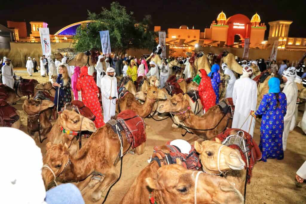 رحلة الهجن الثانية عشر تحطّ رحالها في محطتها الأخيرة