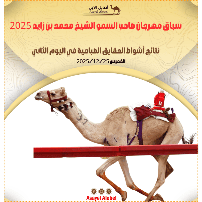 سباق مهرجان صاحب السمو الشيخ محمد بن زايد 2025 : نتائج أشواط الحقايق الصباحية في اليوم الثاني