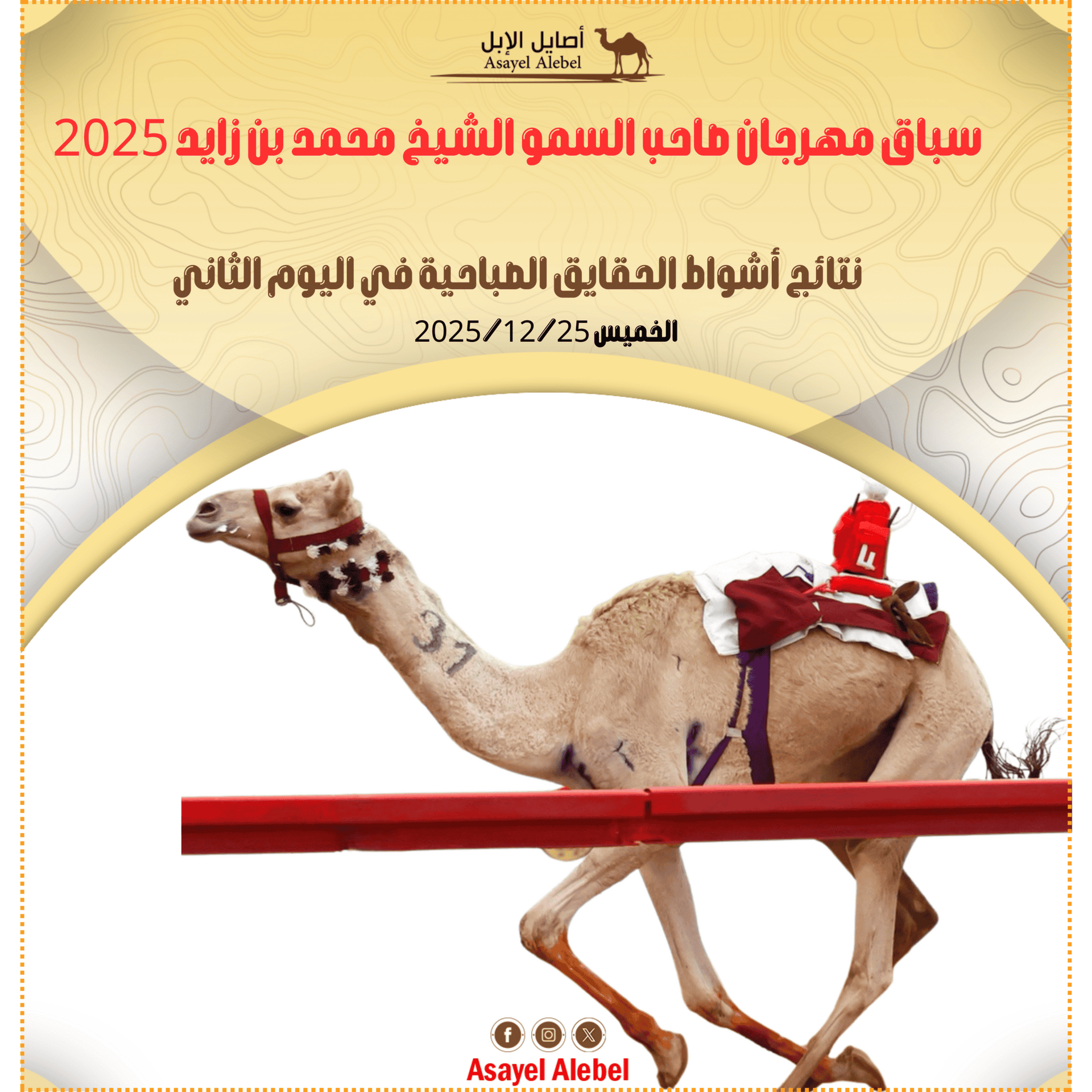 سباق مهرجان صاحب السمو الشيخ محمد بن زايد 2025 : نتائج أشواط الحقايق الصباحية في اليوم الثاني
