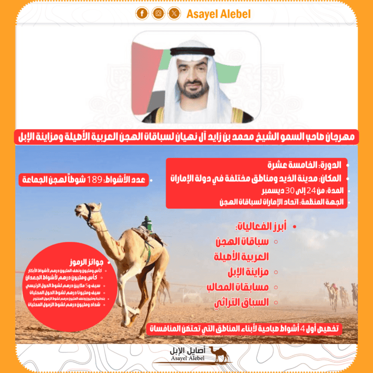 الهجن والمزاين والمحالِب تجتمع في «الذيد» بمهرجان محمد بن زايد