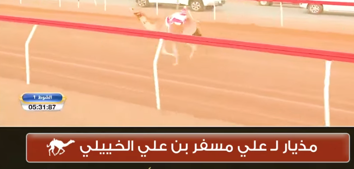 مذيار يخطف السيف الذهبي لعلي بن مسفر الخييلي في مهرجان أم القيوين التاسع عشر