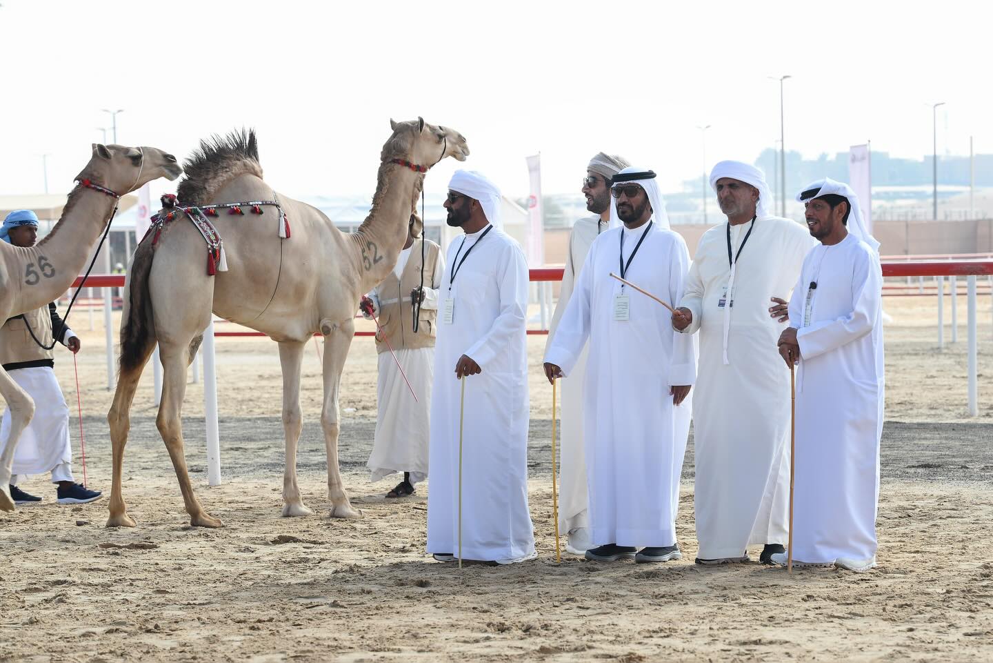 محمد عبدالله بن عاضد :  تحكيم مزاينة الظفرة ترسخ النزاهة وتضمن عدالة المنافسة