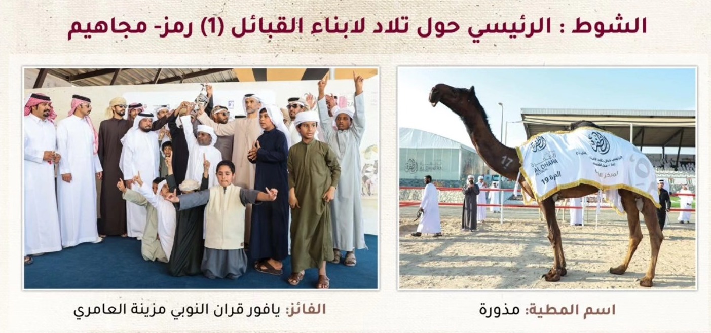 «مذورة» لـ "يافور بن قران" تختتم مسيرتها الذهبية بخنجر التلاد في ختام مهرجان مزاينة الظفرة 19