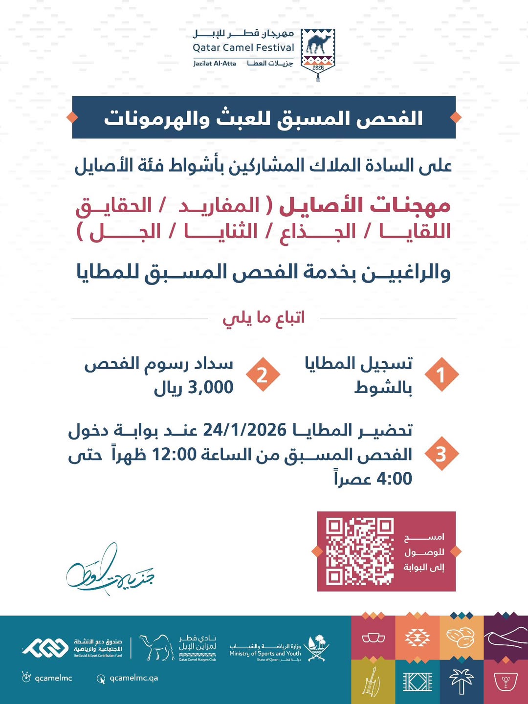 مهرجان قطر للإبل يعلن ضوابط الفحص المسبق للعبث والهرمونات في أشواط الأصايل