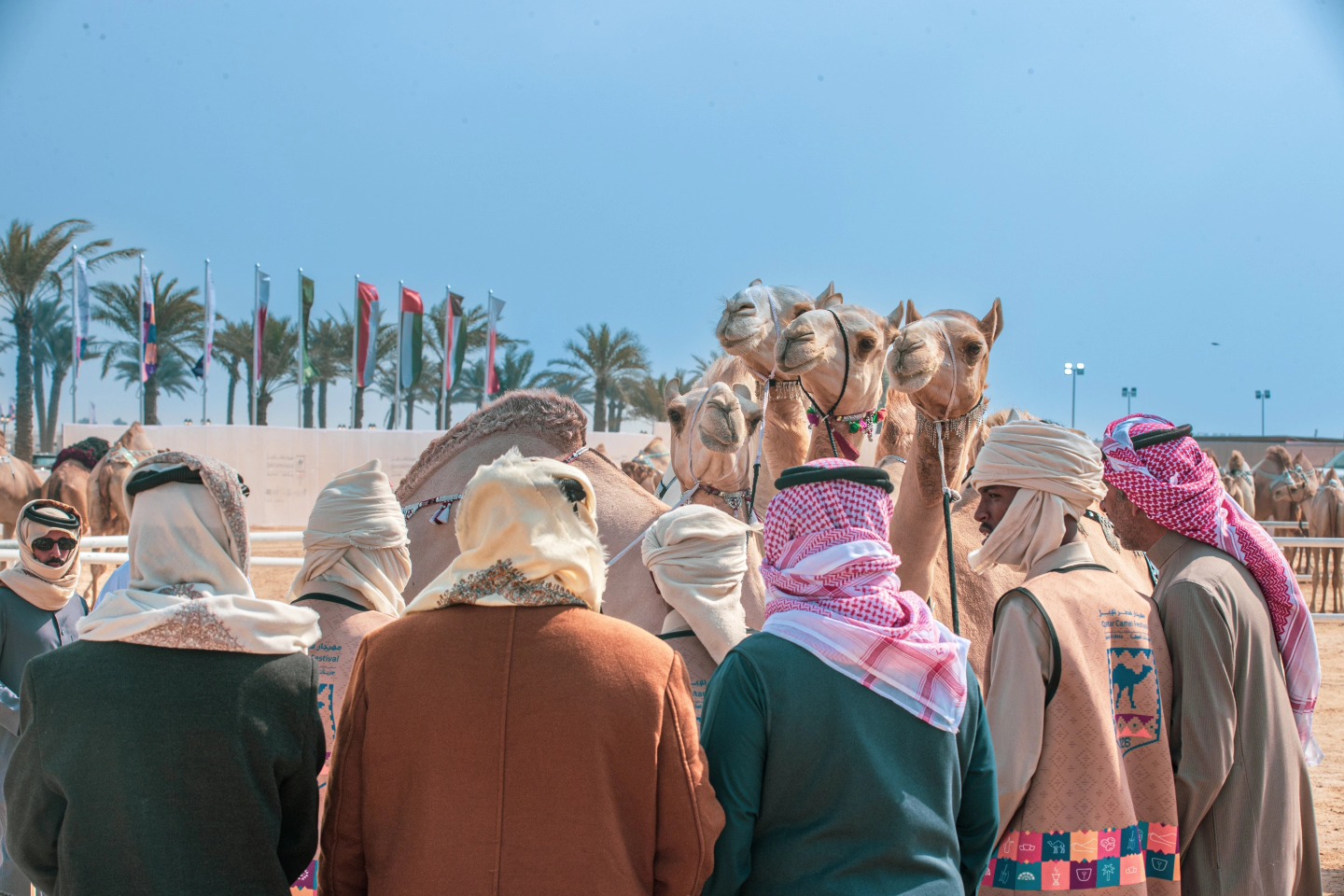 مشاركون يؤكدون: «جزيلات العطا» مهرجان خليجي استثنائي يختصر التميّز وقوة المنافسة في مزاين الإبل