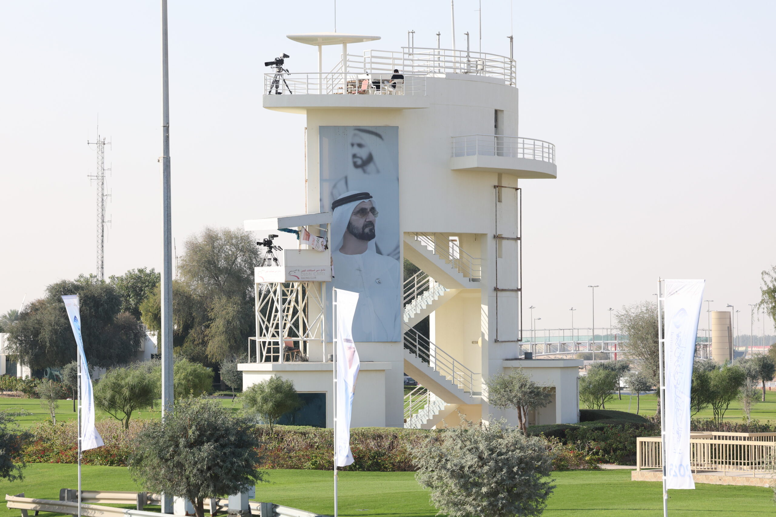 المرموم… عاصمة الهجن في دبي